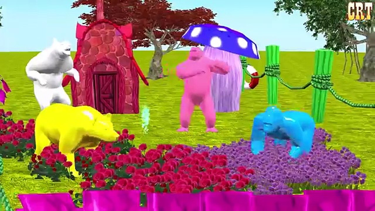 Colourful All Animals Colour Song || Learning Nursery Rhymes For Children Rhymes For Collection