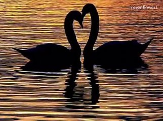 In the morning light - Relaxing, soothing music