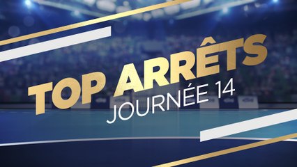 LIDL STARLIGUE 16-17 Top Arrêts J14