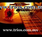 Tríos en Coyoacán T. 5536681311 Serenatas