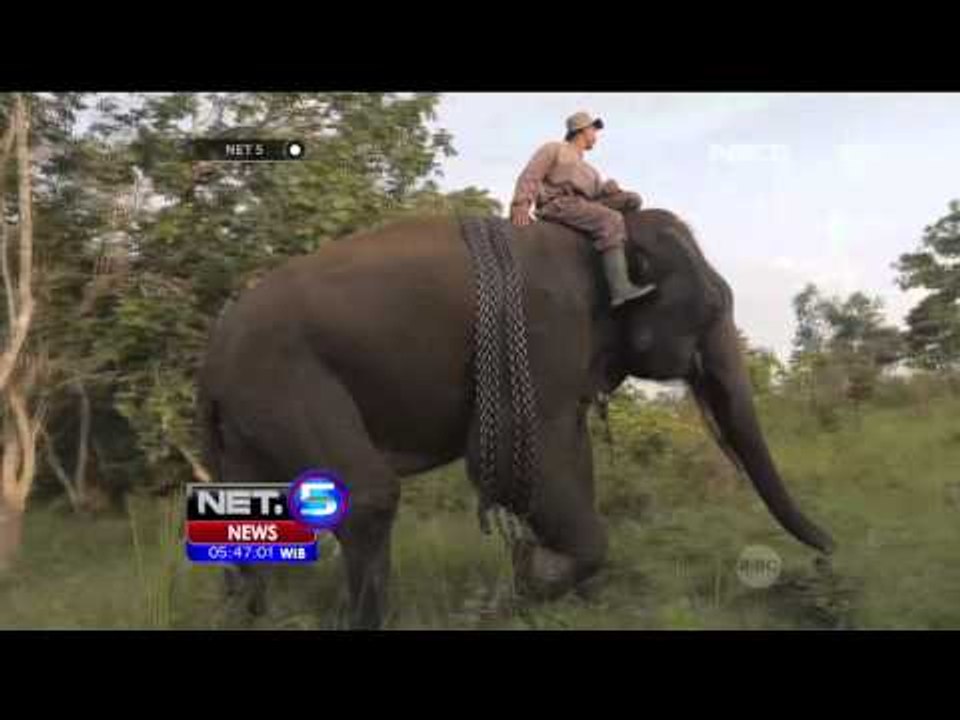 Profil Tim Elephant Response Unit - NET5