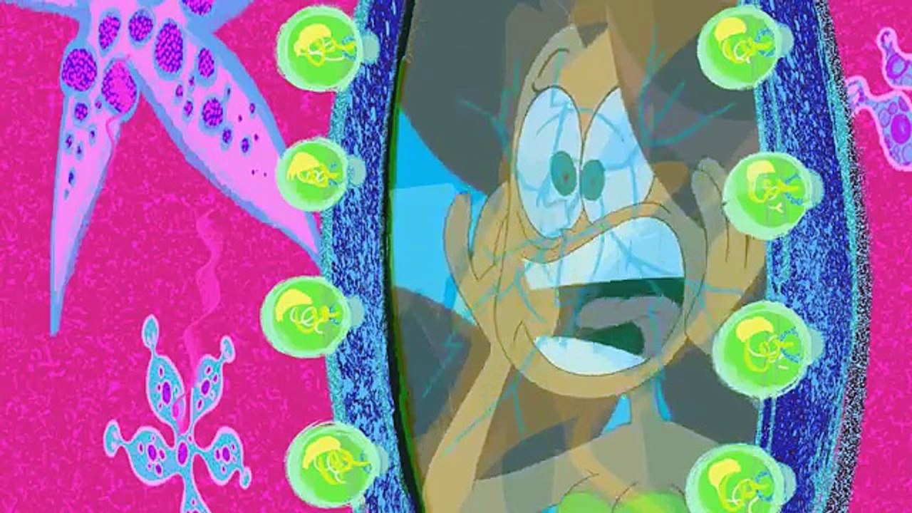 Zig & Sharko - Marina Compilation _ HD