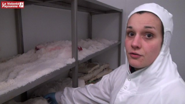 Brasc : découpe de viande pour circuits courts