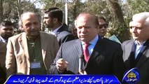 Nawaz Sharif launches Green Pakistan drive to plant 100m trees