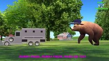 Finger Family Bear Family Rhymes | Animals Cartoon Finger Family Rhymes