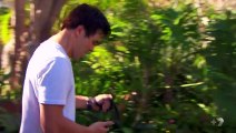 Home and Away 6591 9th February 2017