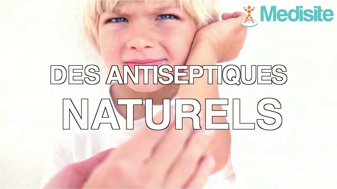 Top 3 des antiseptiques naturels