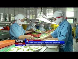 Modul Khasiat dan Kegunaan Edamame - NET12