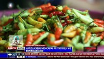 Wow! Harga Cabai di Solo Rp 150 Ribu Per Kilogram