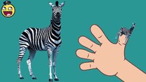 Nursery Rhymes for Children | Crazy Finger Family Zebra | Animated Nursery Rhymes