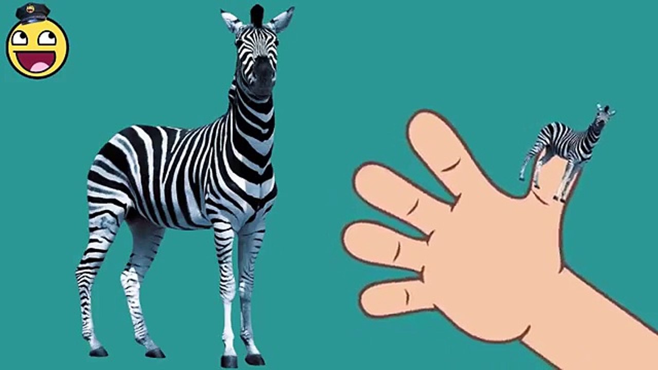 Nursery Rhymes for Children | Crazy Finger Fami...