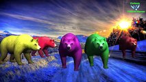 Figer Family Bear Rhymes | Animals Cartoon Finger Family