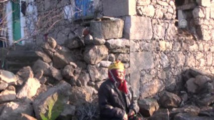 Hayvanları Için Her Gün 8 Kilometre Yürüyor