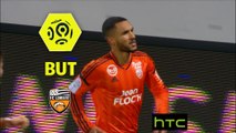 But Sylvain MARVEAUX (60ème) / FC Lorient - Toulouse FC - (1-1) - (FCL-TFC) / 2016-17