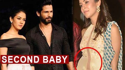 Shahid Kapoor Mira Rajput Plan Second Baby After Baby Misha  Big Announcment