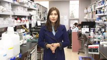 Korean researchers develop skin model that could replace animal testing
