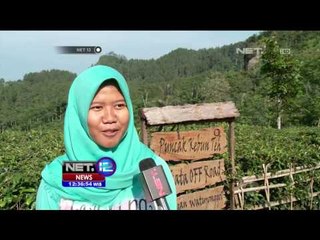 Desinasi Wisata Teh di Kulonprogo - NET12