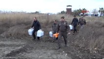 Izmit Körfezi'nde Kirlilikten Etkilenen Kuşlar Doğaya Bırakıldı