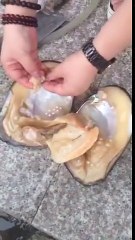 Denizden Aldım Bir Tane Eve Geldim Bin Tane