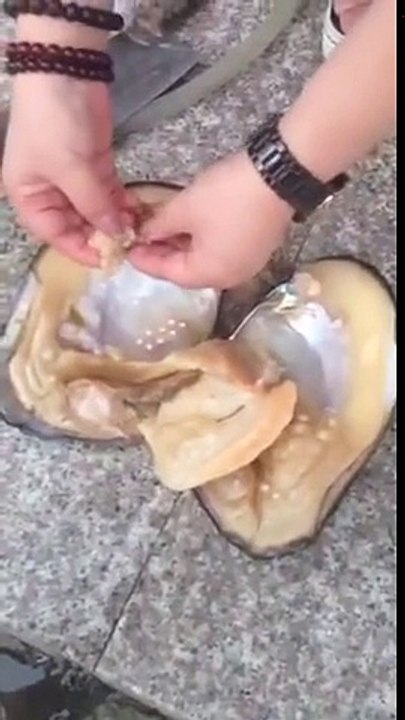 Denizden Aldım Bir Tane Eve Geldim Bin Tane