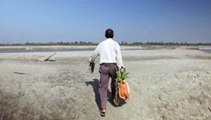 Desde 1979 que ele planta árvores na mesma área... Passados 38 anos o que ele criou... É impressionante!