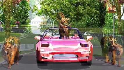 Tiger Finger family nursery 3d English rhymes | Funny Animals Finger Family kis songs