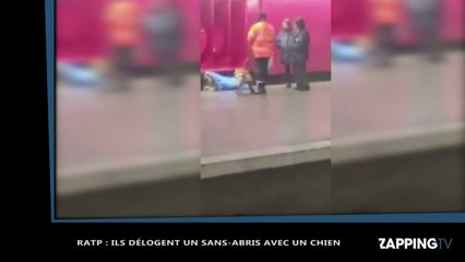 Le chien d'un agent de sécurité s'attaque à un SDF dans le métro parisien, la vidéo choc