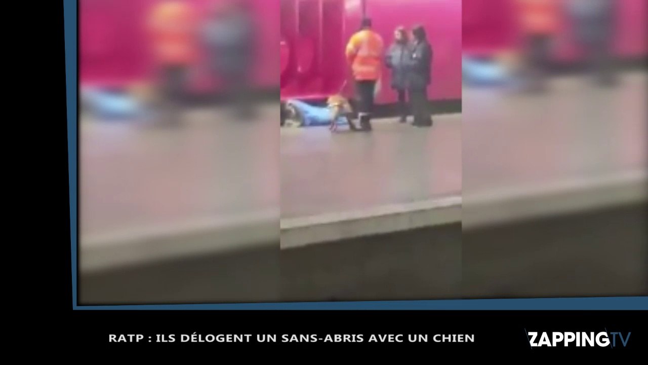 Le chien d'un agent de sécurité s'attaque à un SDF dans le métro parisien, la vidéo choc