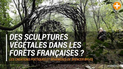 Les sculptures végétales poétiques et éphémères de Spencer Byles