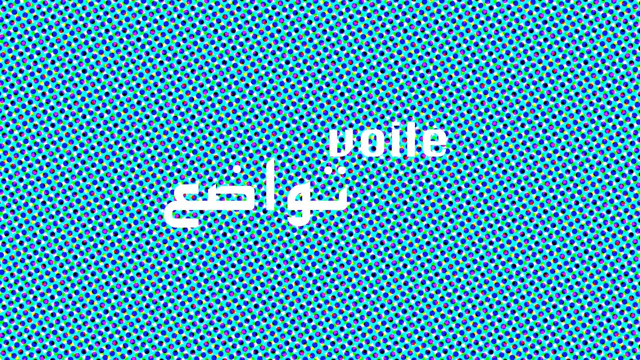 [Les Mots de l’Islam] Le voile