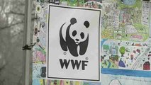 WWF pone a Doñana como una de las grandes áreas protegidas en riesgo en la UE