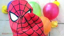Учим цвета с супер герой паук и влажные Воздушные Шары Finger семья потешки EggVideos.com