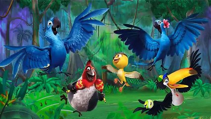Rio Movie Finger Family / Daddy finger, daddy finger, where are you?