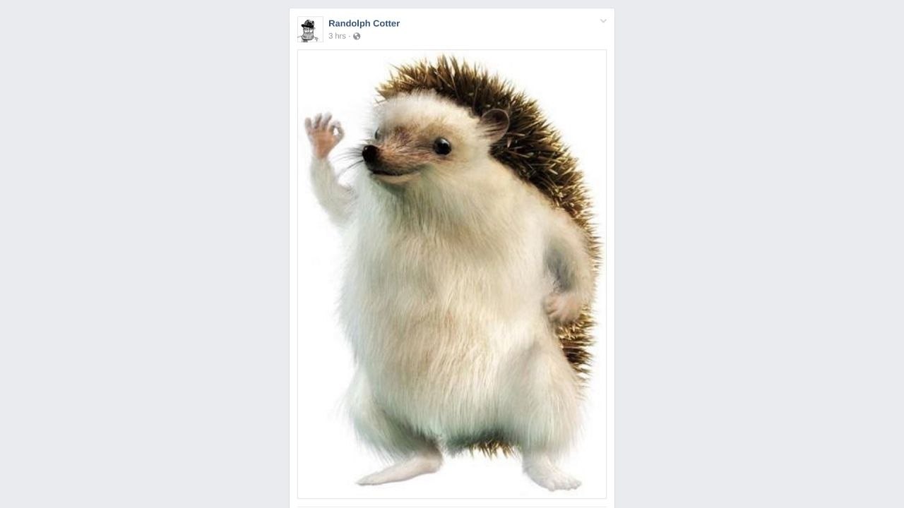 I Really, Really, Really Like This Image (Clip)