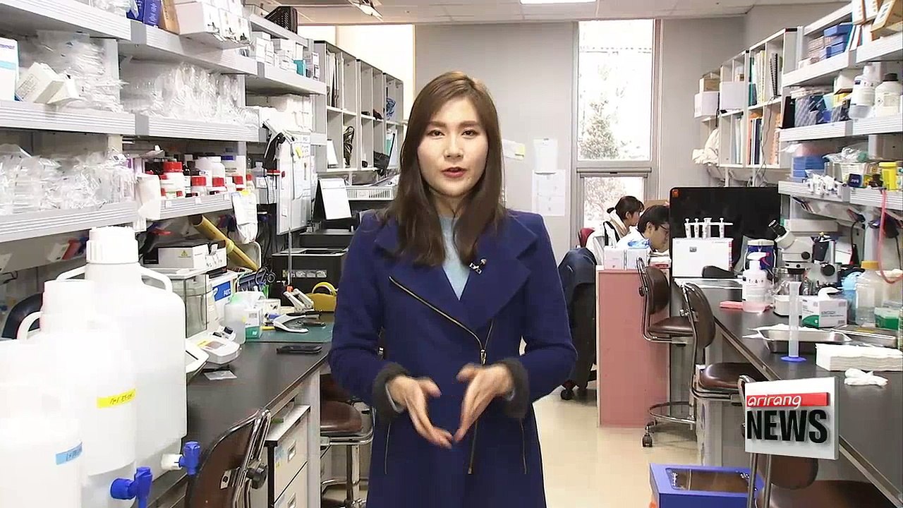 Korean researchers develop skin model that could replace animal testing