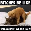 Wrong Hole Wrong Hole Hahahahha