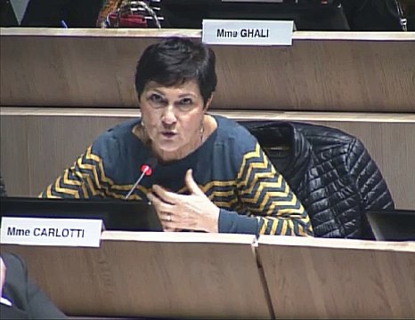 Marie-Arlette Carlotti intervient sur la politique du logement