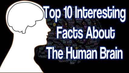 Top 10 Interesting Facts About Human Brain - In Telugu - Amazing Facts of Psychology