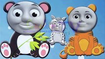 THOMAS And Friends Finger Family BEAR, PANDA, TIGER ANIMALS Daddy Finger Song Nursery Rhymes Cookie