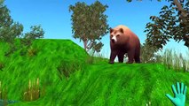 Bear Finger Family Rhymes | Animal Cartoons for Children Finger Family Rhymes Kids Songs