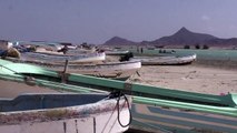 النزاع يشل حركة صيادي الأسماك في جنوب غرب اليمن