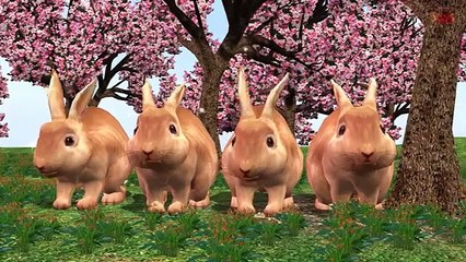 Nursery Rhymes Collection For Cartoon Kids Rhymes - Animals Songs And Nursery Rhymes