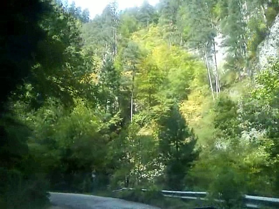 The road to village Yagodina in the Rodopi mountain Bulgaria