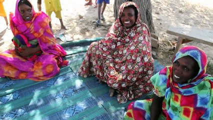 La filière bovine tchadienne. Un moteur de croissance en quête de reconnaissance-HD