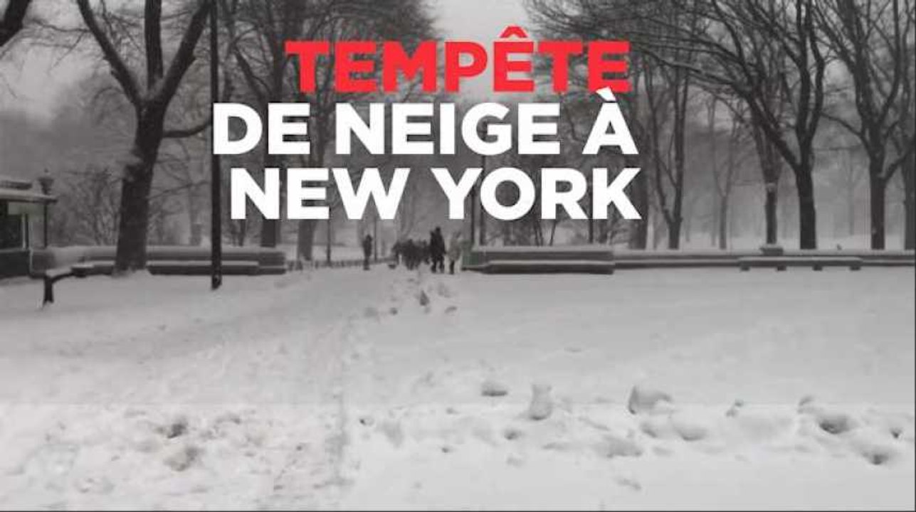 Une tempête de neige s'abat sur New York