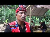 Proses Pembuatan Okokan dalam Upacara Penyambutan Tamu - NET24