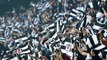 PFDK, Beşiktaş'a Kupada Bir Maç Seyircisiz Oynama Cezası Verdi