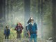 Dans la forêt : Frissonnez de peur avec le nouveau thriller du cinéma français…
