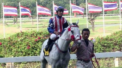 En Thaïlande, des courses hippiques uniques au monde