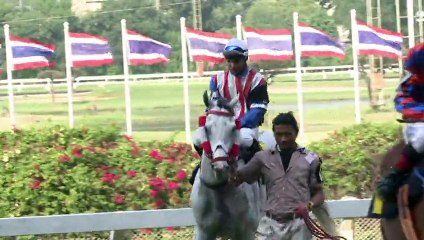 En Thaïlande, des courses hippiques uniques au monde